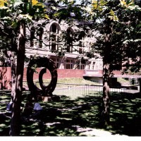 BPH Summer From Lawn